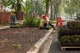 Park Landscaping photo 8