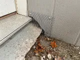 Vanquish Pest Management, Pittsburgh PA photo 2