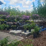 Tripp Landscaping photo 2