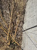 Enterprise Pest & Weed Services photo 5