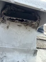 Lose the lint dryer vent cleaning photo 6