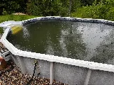 Duckman’s Pools LLC photo 7