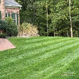 NaturaLawn of America photo 2