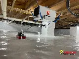 Gibson Pest Control photo 2
