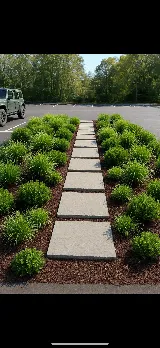 Landscaping NC photo 6