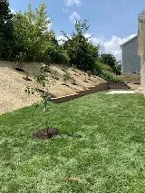 Butler Landscaping & Construction photo 4