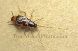 All-Rite Pest Control photo 5
