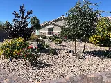 Ugarte Landscapes & Irrigation Repair photo 3