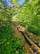 Forest Landscaping services LLC photo 8
