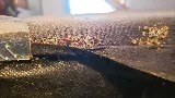 Smith's Pest Control photo 3