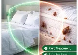 Xpeller Pest Solutions
