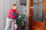 Palmetto Exterminators photo 8