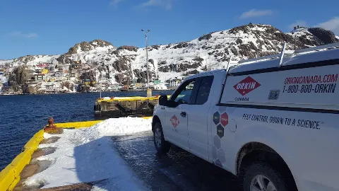 Orkin Canada Pest Control in St. John's