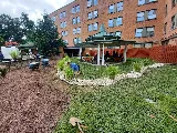 M. Escobar Landscaping photo 4