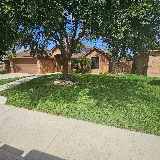 “Carrizales” Landscaping LLC. (RGV) photo 5