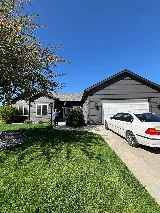 Insight Pest Solutions photo 3