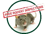 Kilter Termite and Pest Control photo 4