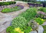Offshoots Productive Landscapes photo 4
