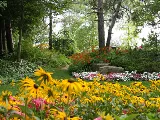 Green Ventures Landscape Care Limited photo 2