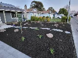 Vicelandscape photo 2