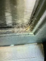 Bulwark Exterminating photo 7