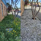Wild Ridge Landscaping photo 3