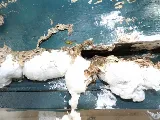 Stewart Termite & Pest Control photo 2