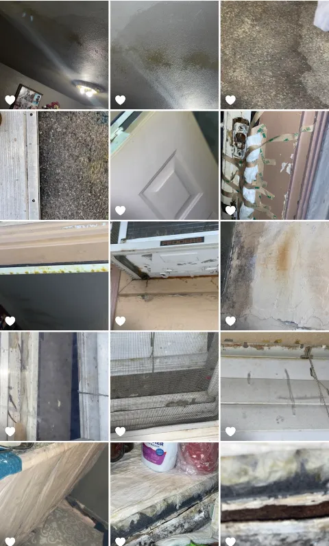 The Stockton Plumbing and Drainage Cleaning Specialist photo 1