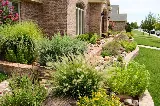 Nash & Associates Landscaping Inc. photo 2