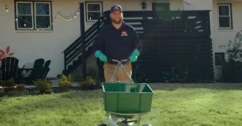 Ned's Lawn and Pest Control photo 1
