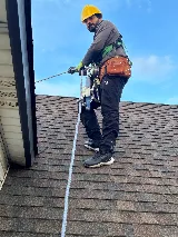 Windsor Pest Terminators