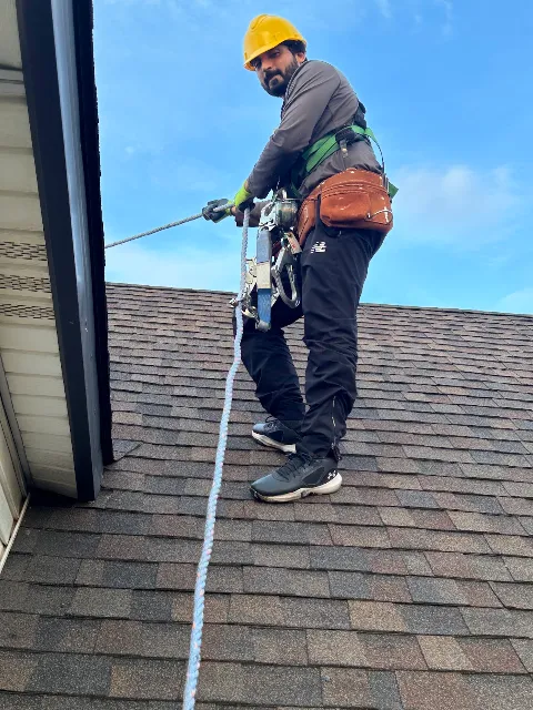 Windsor Pest Terminators in Windsor