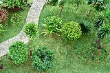 Landscapers Yonkers photo 6