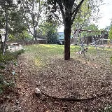 LawnStarter Landscaping photo 4