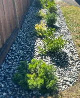 Retrofit Landscape Services Inc. photo 4