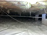 PESTOUT photo 5