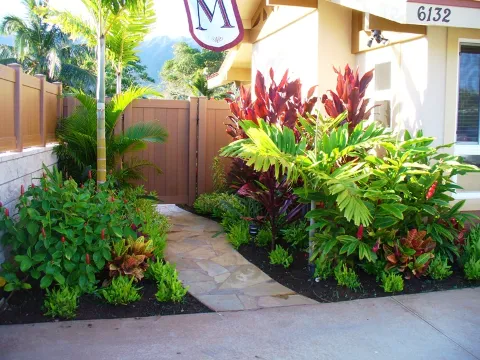 Aloha `Aina Landscaping LLC in Honolulu
