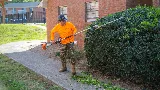 Complete Grounds Commercial Landscaping