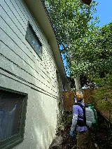 Spud Pest Control photo 7