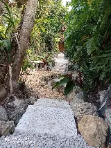 landscaping service photo 4