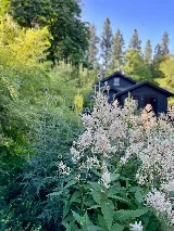 GardenLandscapes