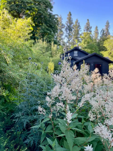 GardenLandscapes photo 1