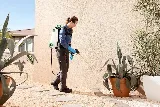 Las Vegas Pest Control photo 4