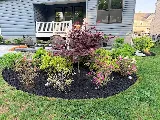 Luxe Landscaping photo 6