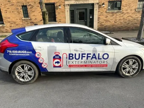 Buffalo Exterminators Inc photo 1
