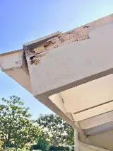 Advanced Integrated Pest Management photo 7