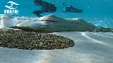 Seascape Pools photo 5