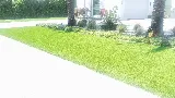 Erick Landscaping Design and sintetic grass photo 4