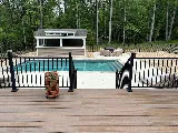 Pleasure Pools Inc. photo 8