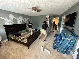 Shark Moving photo 2